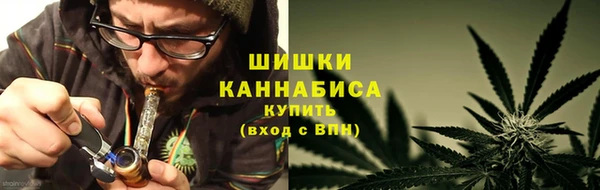 ПСИЛОЦИБИНОВЫЕ ГРИБЫ Аркадак