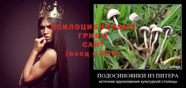 ПСИЛОЦИБИНОВЫЕ ГРИБЫ Аркадак
